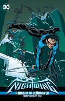 Nightwing (1996) A Knight in Bludhaven Compendium TP Reviews