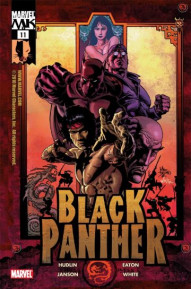 Black Panther #11