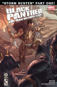 Black Panther: The Man Without Fear #519