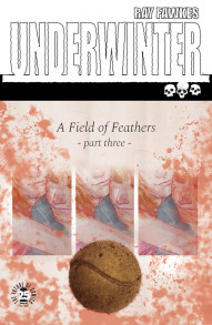 Underwinter: A Field of Feathers #3