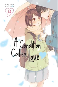 A Condition Called Love Vol. 14