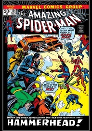 Amazing Spider-Man #114