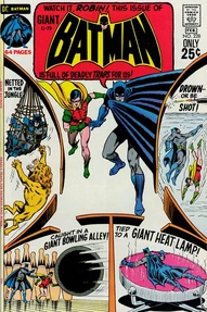 Batman #228
