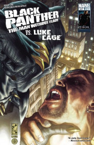 Black Panther: The Man Without Fear #517