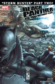 Black Panther: The Man Without Fear #520