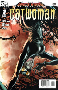 Bruce Wayne: The Road Home: Catwoman #1