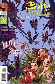 Buffy the Vampire Slayer: Willow & Tara: Wilderness #1