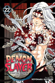 Demon Slayer: Kimetsu no Yaiba Vol. 22