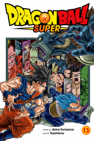 Dragon Ball Super Vol. 13