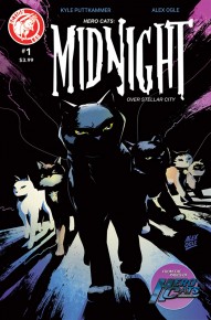 Hero Cats: Midnight Over Stellar City