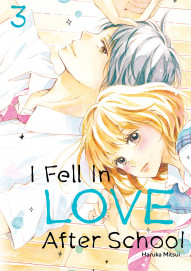 I Fell in Love After School Vol. 3