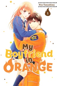 My Boyfriend in Orange Vol. 1