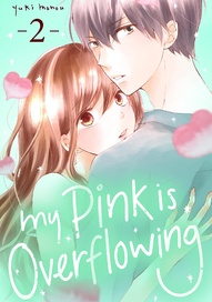 My Pink is Overflowing Vol. 2