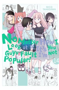 No Matter How I Look at It, It's You Guys' Fault I'm Not Popular! Vol. 14