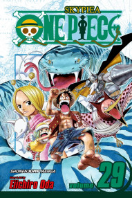 One Piece Vol. 29