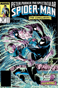 Peter Parker: The Spectacular Spider-Man #132