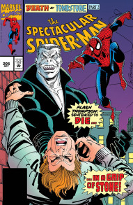 Peter Parker: The Spectacular Spider-Man #205