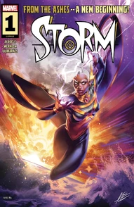 Storm (2024)