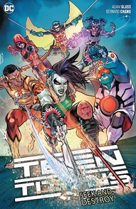 Teen Titans Vol. 6: Seek And Destroy