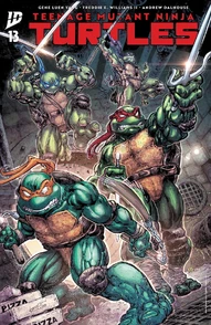 Teenage Mutant Ninja Turtles #13