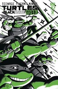 Teenage Mutant Ninja Turtles: Black, White & Green #2