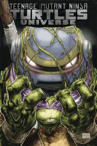 Teenage Mutant Ninja Turtles: Universe Vol. 2: New Strangeness