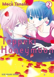Teppeki Honeymoon Vol. 2