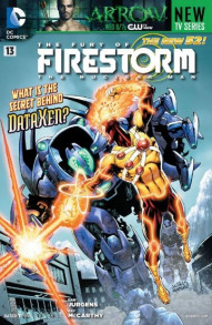 The Fury of Firestorm: The Nuclear Men #13