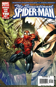 The Sensational Spider-Man #24
