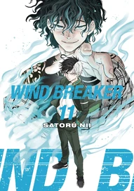 Wind Breaker Vol. 11