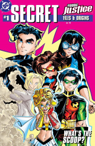 Young Justice: Secret Files #1